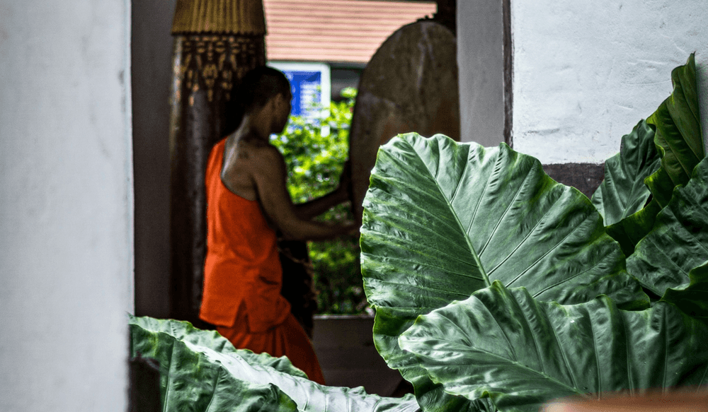 slow travel (4)