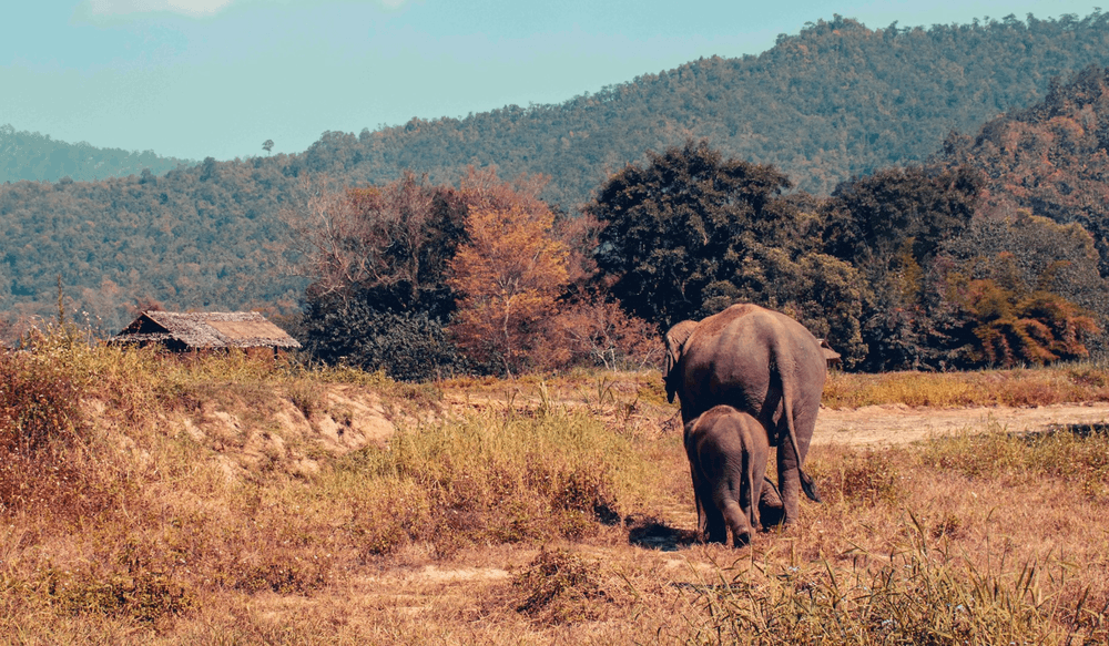 slow travel (4)-1
