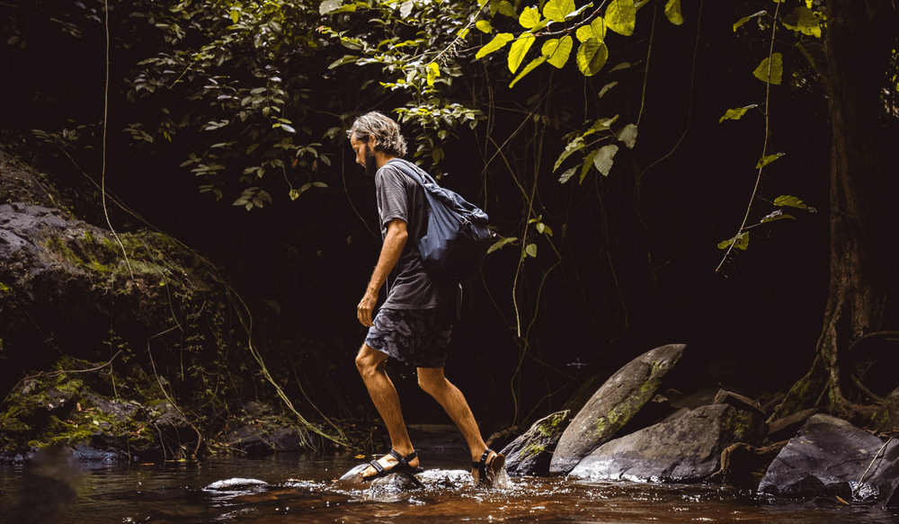 jungle de Koh Chang