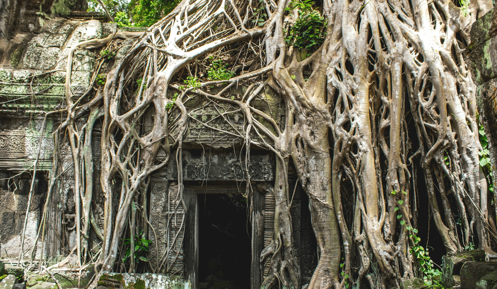 Temple de Preah Vihear, le « Saint Temple »