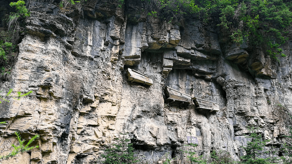 Coffins 3