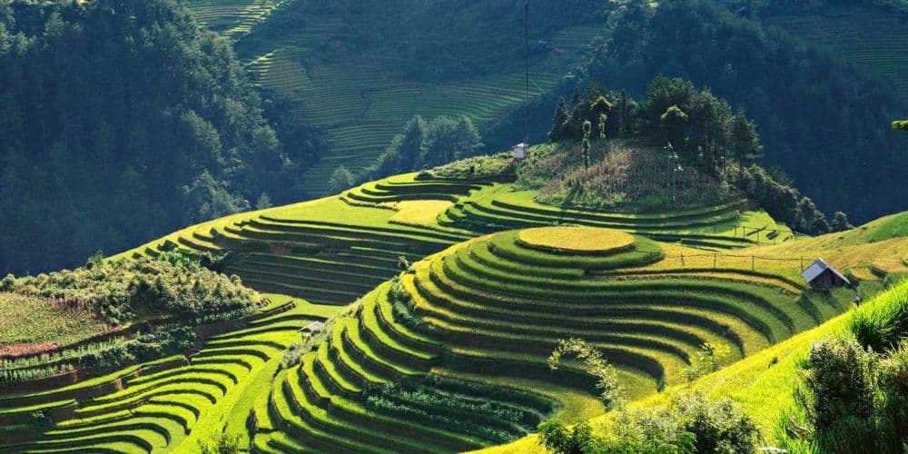 Sapa