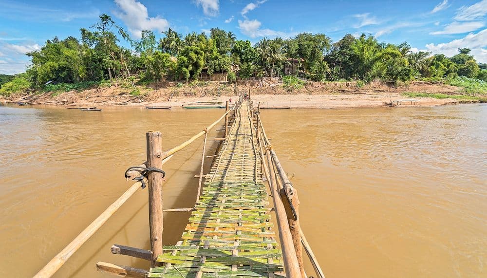 bammboo bridge (2)