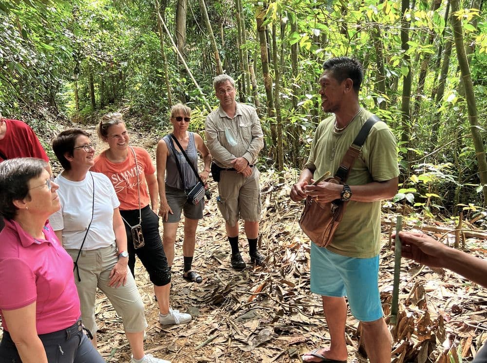 khao sok walk