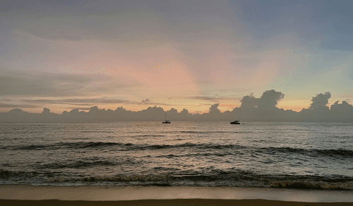 La faune et la flore du sud de la Thaïlande