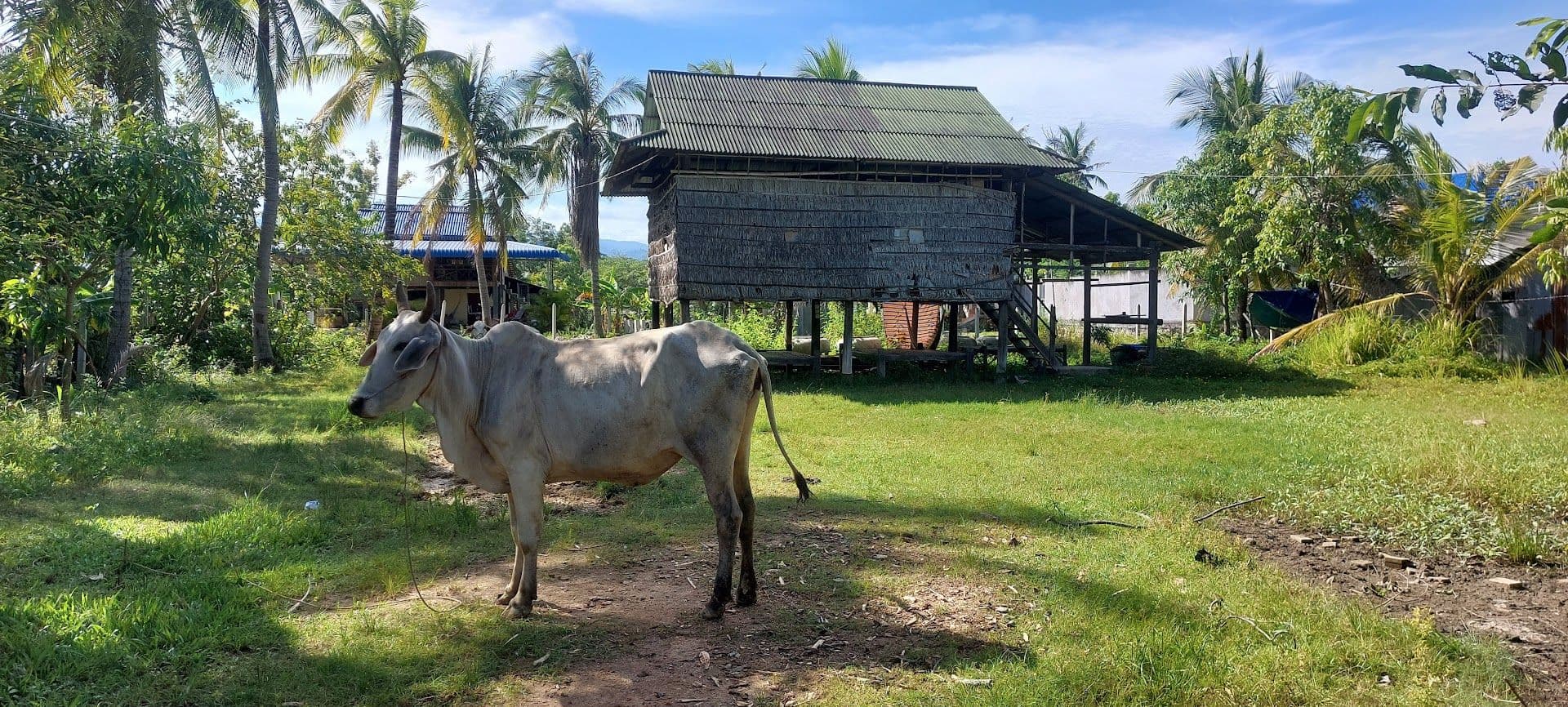 kampot