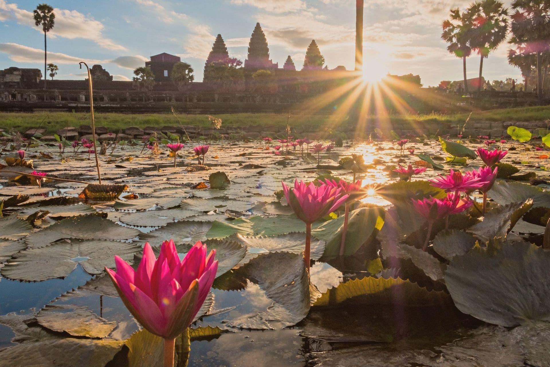 Angkor wat kambodsha