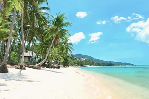 Samui