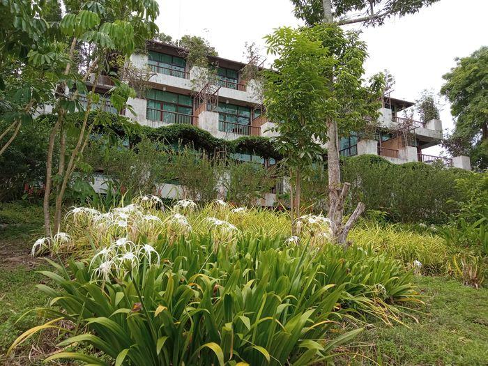 Hotel - Chiang Saen - Banseao Garden and Resort