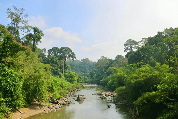 Borneo