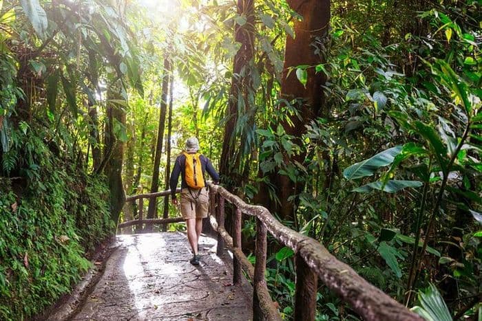 Khao Yai National Park hiking