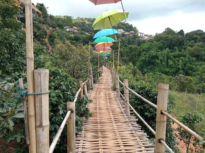 Chiang Rai - Akha Village - Bamboo Bridge