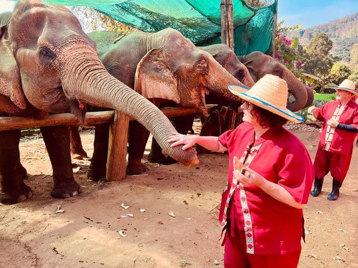 Elephant Sanctuary Chiang Mai