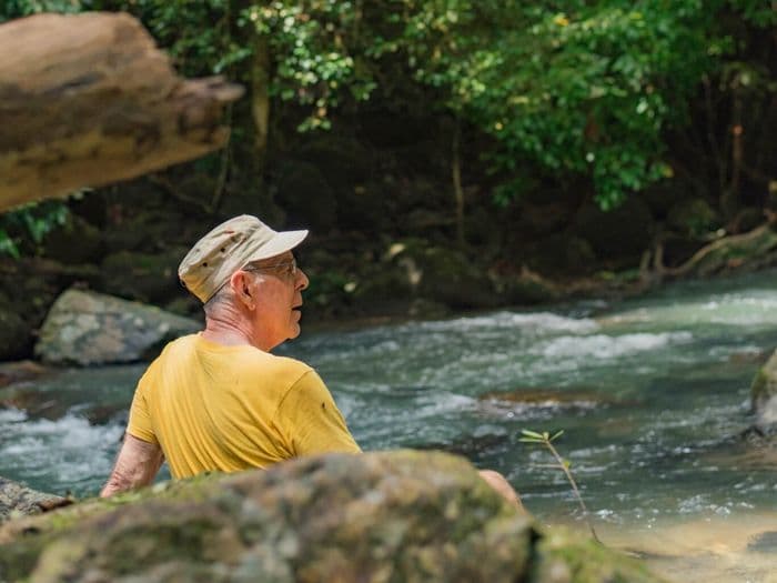 Khao Sok National Park Jungle Scenary