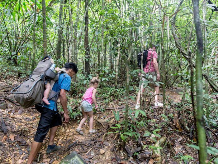 Khao Sok National Park Jungle Trekking