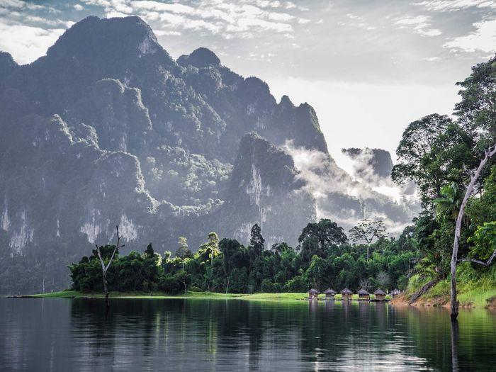Khao Sok National Park Jungle Scenary