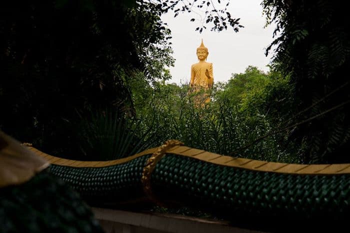 Kamchanod Thailand