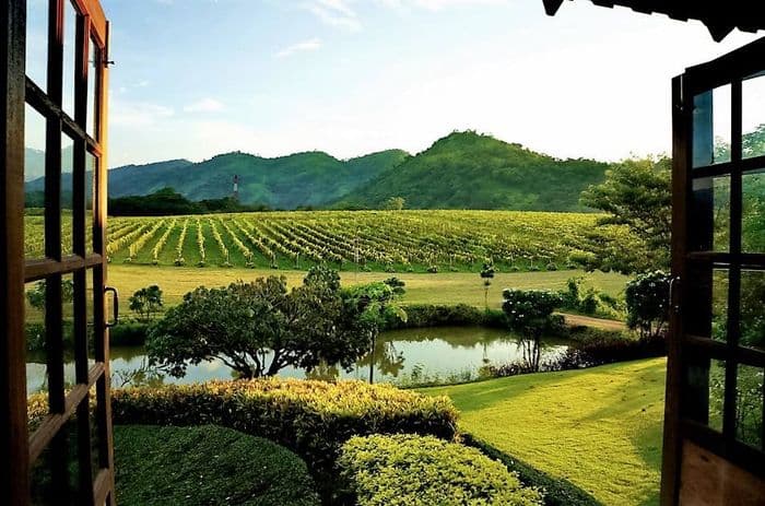Winery Thailand Khao Yai