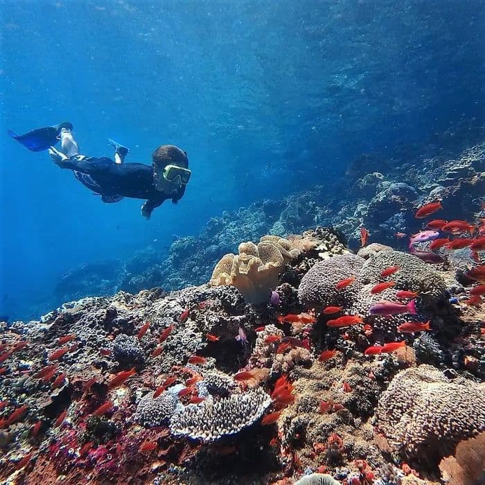 Raja Ampat Snorkeling