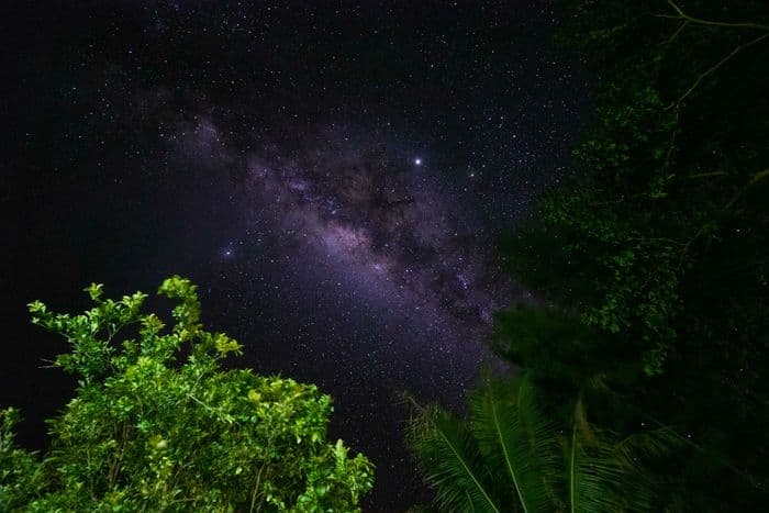 Starry sky