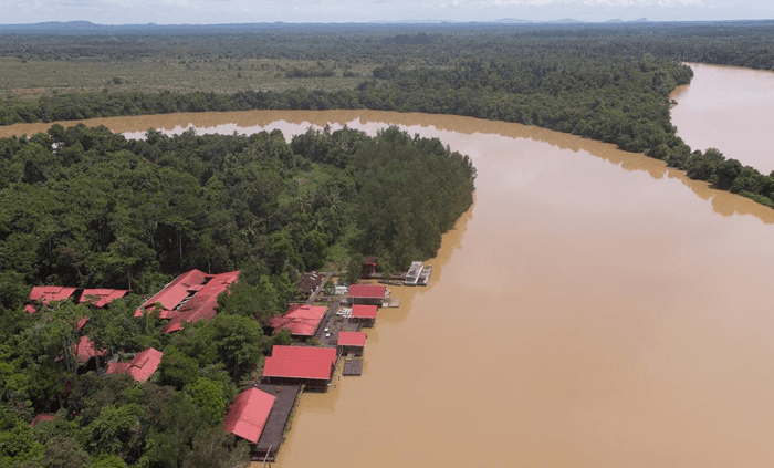 Abai Jungle Lodge