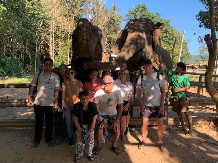 A privileged moment with the elephants