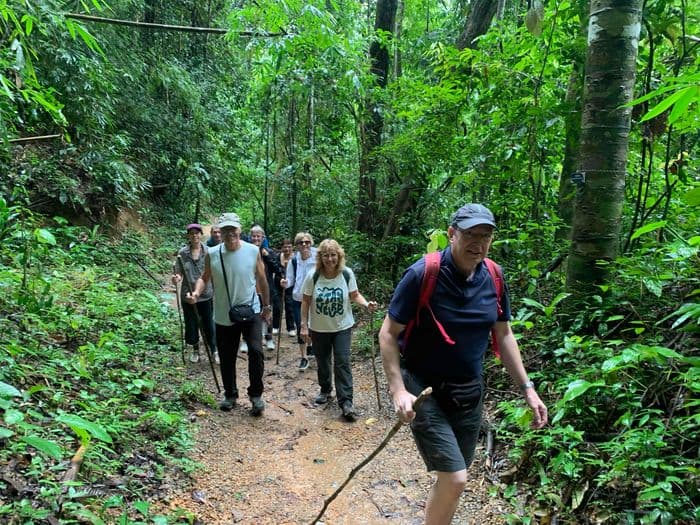 Adventure in the rainforest