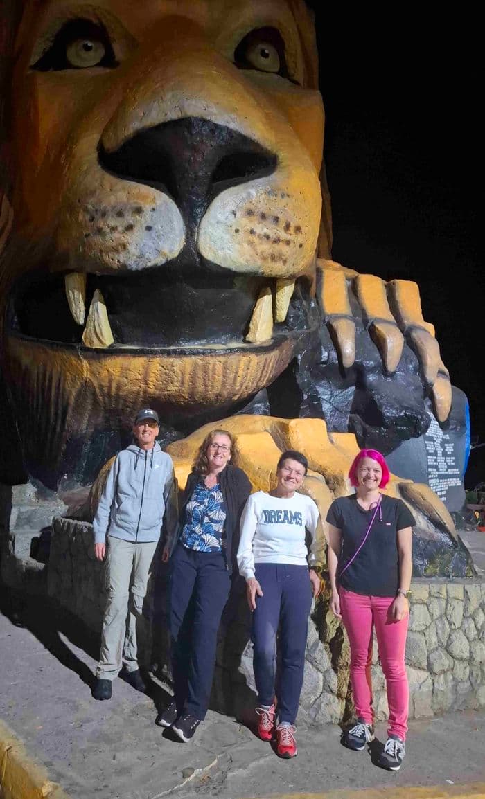 Der Löwe sieht hungrig aus