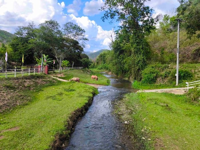 Karen Eco Lodge